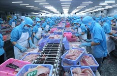 L'atlas des entreprises aquacoles vietnamiennes sera mis à jour