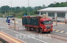 Quang Ninh : la porte frontalière de Mong Cai traite 45.300 tonnes de fret depuis sa réouverture