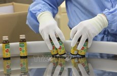Des entreprises japonaises souhaitent importer plus de matières premières médicinales du Vietnam