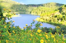 Dà Lat parmi les plus beaux endroits du monde où admirer les fleurs, selon Booking.com