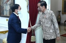Le ministre des Affaires étrangères Bui Thanh Son rencontre le président indonésien Joko Widodo