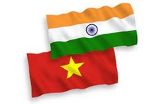 Ouverture de l'exercice militaire bilatéral Vietnam-Inde "Ex VINBAX 2022"