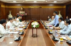 Da Nang exhortée à renforcer la coopération internationale