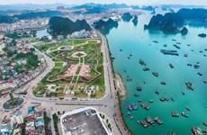 Quang Ninh cherche à accélérer le développement de l’aquaculture marine