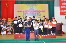 Hung Yen : plus de 500 sportifs au premier tournoi élargi des arts martiaux 