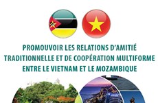 Promouvoir les relations d’amitié traditionnelle et de coopération multiforme Vietnam-Mozambique