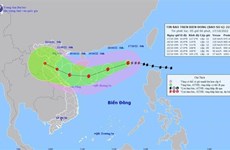 Le typhon Nesat est entré en Mer Orientale