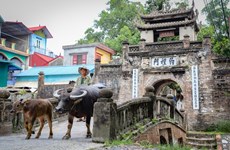 À Hanoi, l'ancien village de Uoc Lê défie le temps