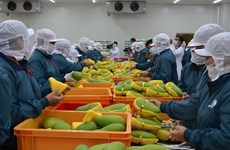 Le Vietnam cherche à promouvoir ses exportations vers les Pays-Bas