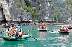 Forte hausse du nombre de touristes indiens au Vietnam en dix mois