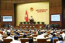 L’Assemblée nationale approuve la Loi sur la mise en œuvre de la démocratie à la base