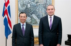 Le président irlandais apprécie les réalisations socioéconomiques du Vietnam 