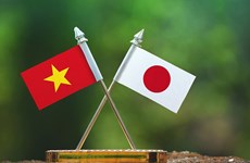 Un premier festival d’automne à Kochi contribue aux liens Japon-Vietnam