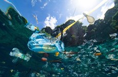 L’État et la société s’attaquent sérieusement au problème de la pollution plastique 