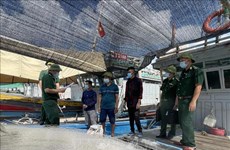 Thanh Hoa fait des efforts dans la lutte contre la pêche illicite