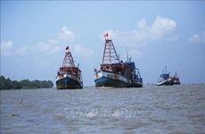 Pêche INN : Kien Giang déterminée à lever le "carton jaune" de la Commission européenne