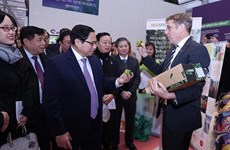 Le Premier ministre Pham Minh Chinh visite le World Horti Centre aux Pays-Bas