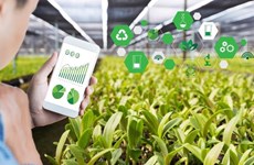 L’application de technologies favorise le développement des produits agricoles vietnamiens