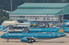 Vietnam Airlines continue à augmenter ses fréquences pour le Têt du Chat