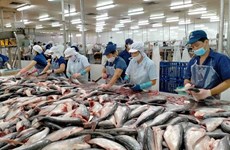 Exportation de poissons tra: optimisme pour 2023