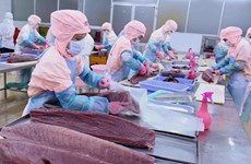 La filière thon du Vietnam termine l'année 2022 avec succès
