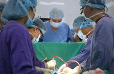 La transplantation d’organes, une réussite du secteur de la santé vietnamien