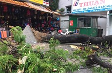 Passage du typhon USAGI: des rues de Hô Chi Minh-Ville inondées