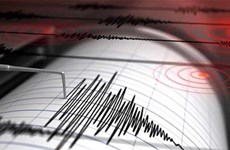 Un séisme de magnitude 6.3 frappe les îles Tanimbar en Indonésie  ​