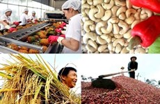 Le secteur agricole enregistre une exportation excédentaire de 7,45 milliards de dollars