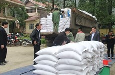 L'aide de 7 800 tonnes de riz à plus de 520 000 personnes démunies avant le Têt