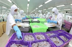 Les exportateurs de crevettes vietnamiens vers les États-Unis bénéficieront de droits nuls