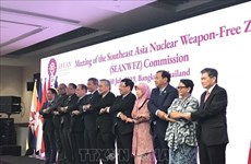 Le Vietnam à la Conférence du Comité du SEANWFZ