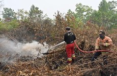 Indonésie : Fermeture forcée des écoles et aéroports à cause des incendies de forêt