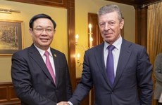 Le Vietnam attache de l'importance à la coopération multiforme avec la Russie