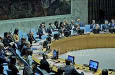 Le Conseil de sécurité de l'ONU discute de la situation du Mali sous la présidence du Vietnam
