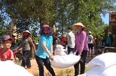 Têt du Rat 2020: des milliers de tonnes de riz en faveur des habitants démunis