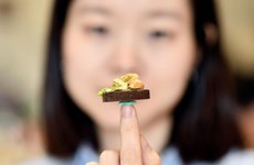 L’AFP salue les plats miniatures d’une jeune Vietnamienne