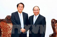 Le Premier ministre reçoit l'ambassadeur du Japon au Vietnam