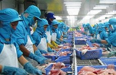 Les États-Unis maintiennent les droits antidumping sur les pangas vietnamiens