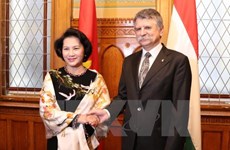 Vietnam et Hongrie renforcent la coopération bilatérale dans tous les domaines