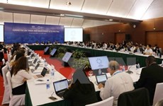 APEC 2017: La 6e journées de travail de la SOM 2 et des réunions connexes