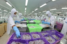 Le Vietnam invite l’Australie à lever l’embargo sur la crevette 