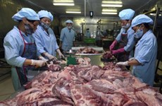 Filière porcine : le Vietnam s’intéresse aux expériences danoises