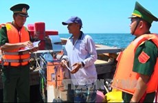 Le Vietnam agit contre la pêche illégale dans les eaux étrangères