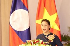 Vietnam-Laos : Du rôle des députées dans les activités parlementaires