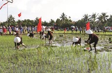 Une fête de descente aux champs pour aider l’agriculture à fleurir
