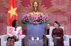 Promotion de la coopération Vietnam – Mozambique
