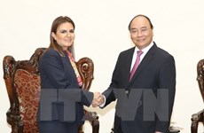 Promotion de la coopération Vietnam-Egypte dans le commerce et l’investissement 