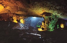 À la découverte de la grotte de Dâu Gô dans la baie de Ha Long