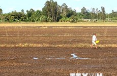 Le delta du Mékong se mobilise contre le réchauffement climatique